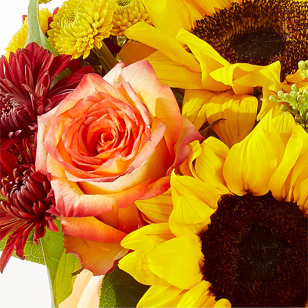 Golden Gourd Pumpkin Bouquet –  Caines Flowers, Barberton OH