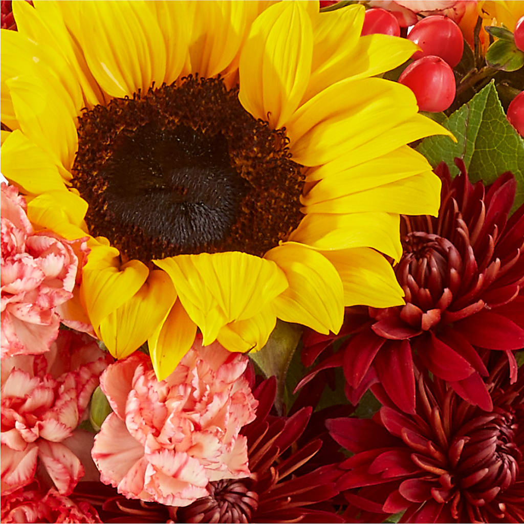 Fresh Cider Bouquet –  Caines Flowers, Barberton OH