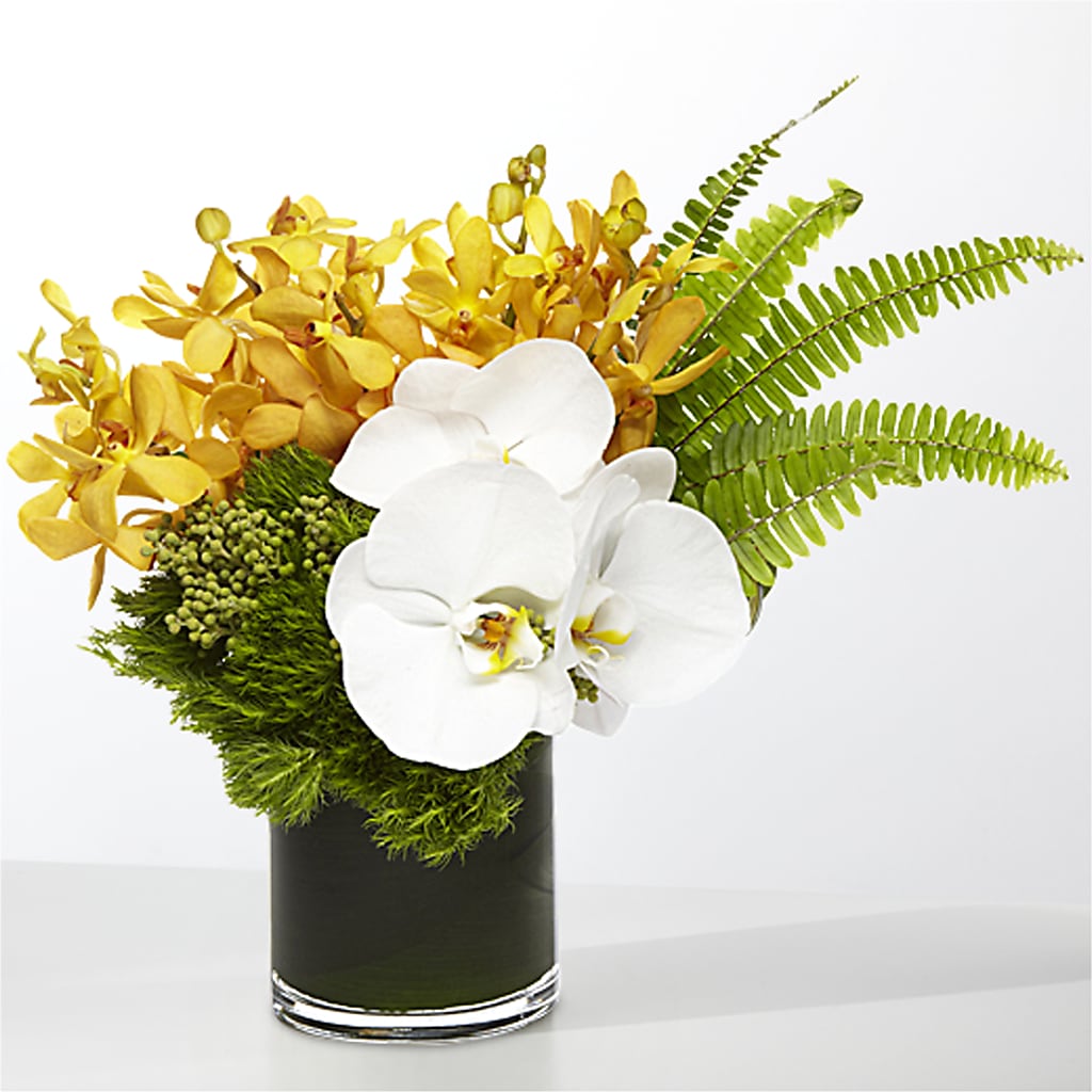 The Tropics –  Caines Flowers, Barberton OH