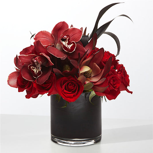 The Eclipse –  Caines Flowers, Barberton OH