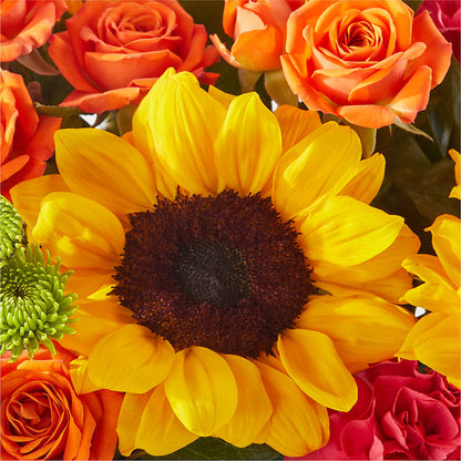 Sun-drenched Blooms Box Bouquet –  Caines Flowers, Barberton OH