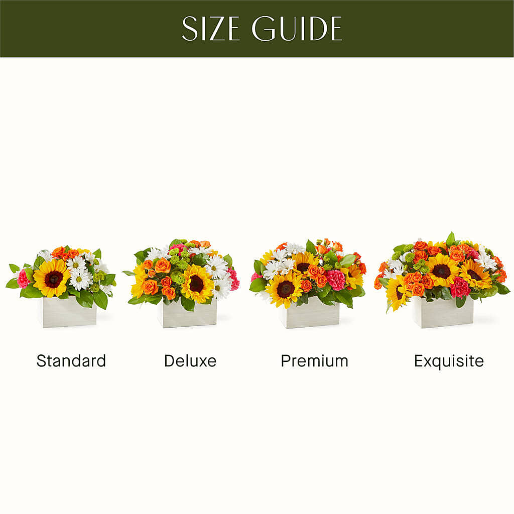 Sun-drenched Blooms Box Bouquet –  Caines Flowers, Barberton OH