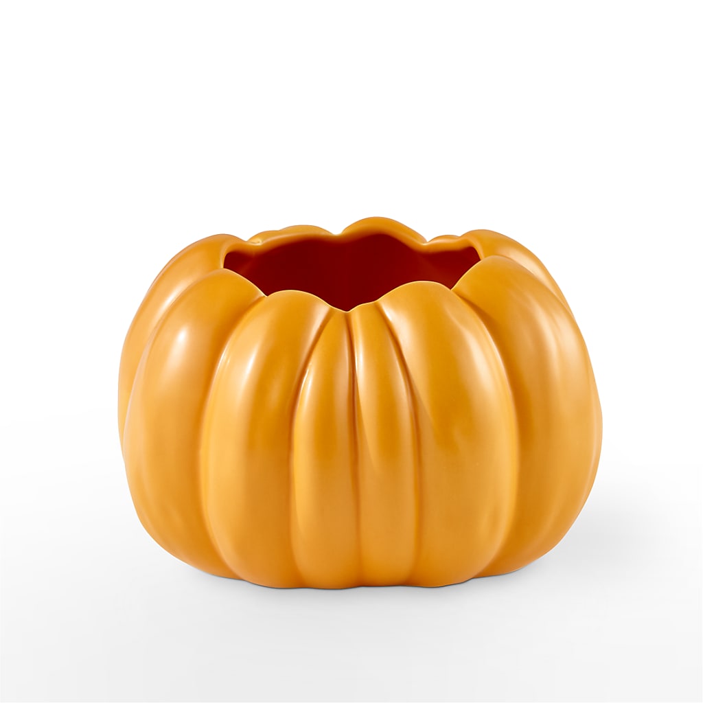 Pick of the Patch Pumpkin Bouquet –  Caines Flowers, Barberton OH