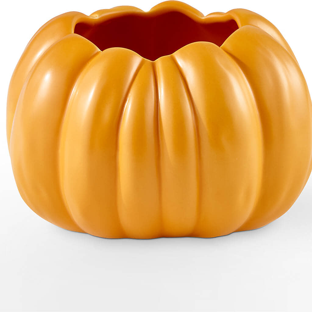 Golden Gourd Pumpkin Bouquet –  Caines Flowers, Barberton OH