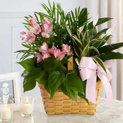 Living Spirit Dishgarden –  Caines Flowers, Barberton OH