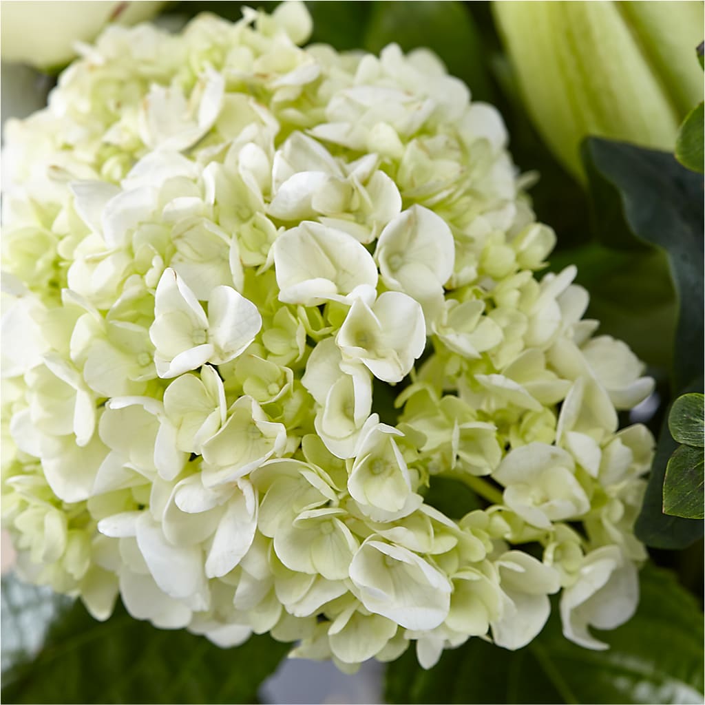 Classic Ivory – A Florist Original –  Caines Flowers, Barberton OH