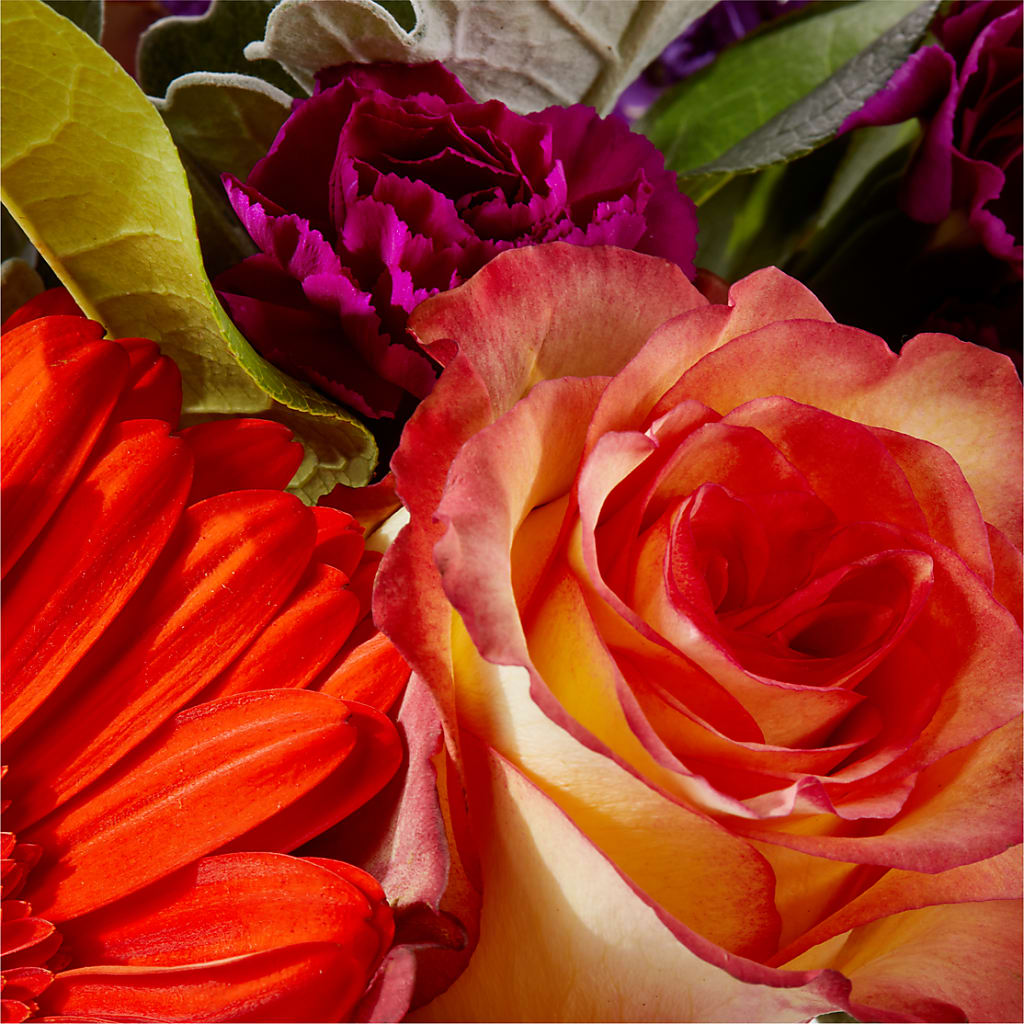Sangria Bouquet –  Caines Flowers, Barberton OH