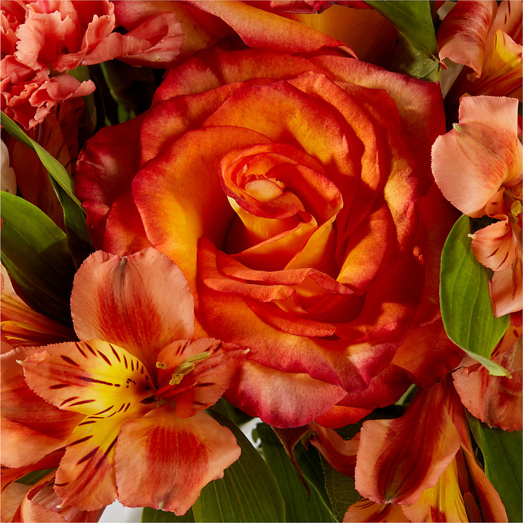 Apricot Glow Bouquet –  Caines Flowers, Barberton OH