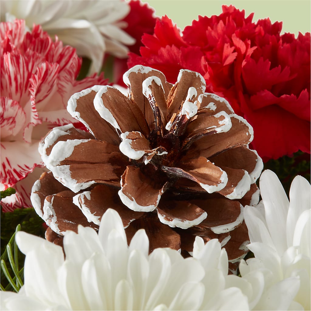 Candy Cane Lane Bouquet –  Caines Flowers, Barberton OH