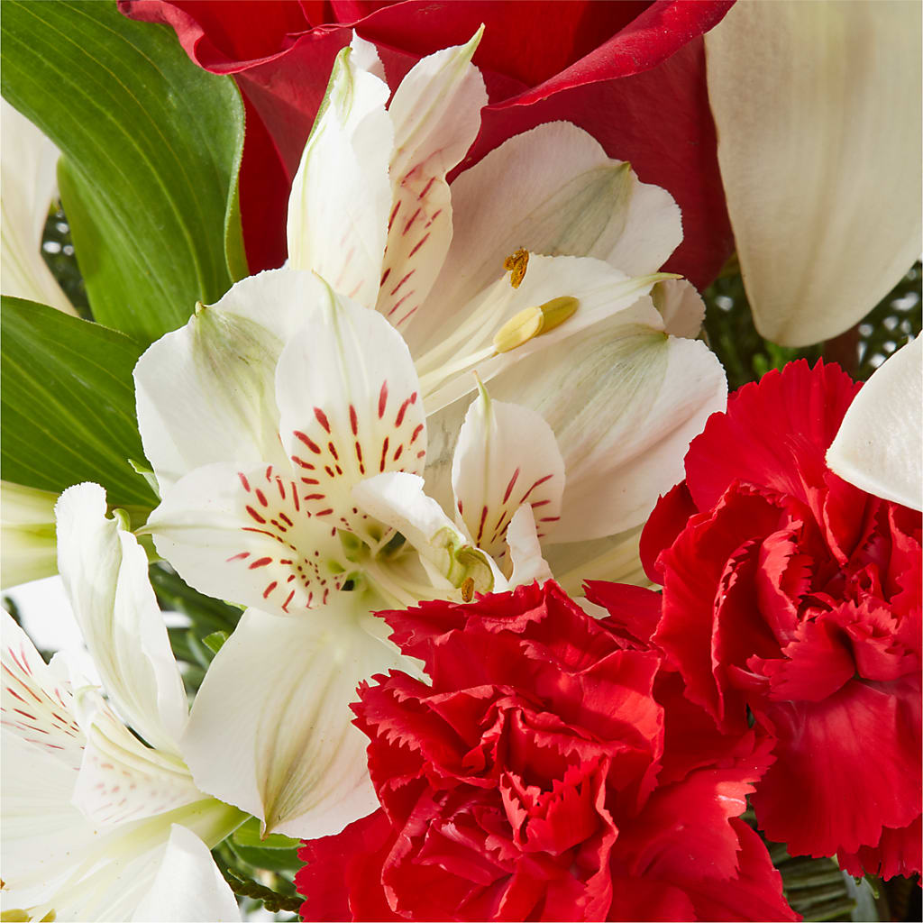 Holiday Season Bouquet –  Caines Flowers, Barberton OH