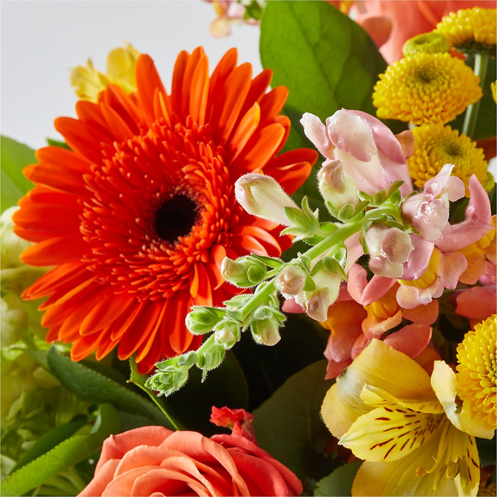 Autumn Sunshine Bouquet –  Caines Flowers, Barberton OH