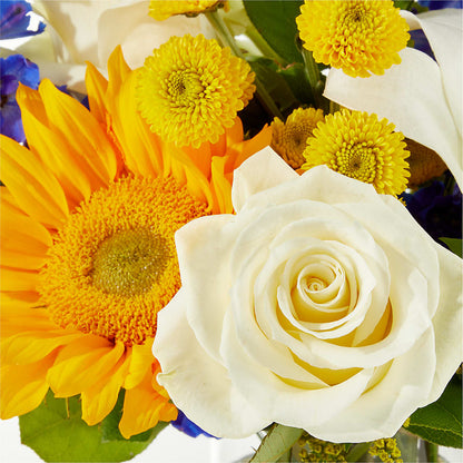 Stargazing Bouquet –  Caines Flowers, Barberton OH