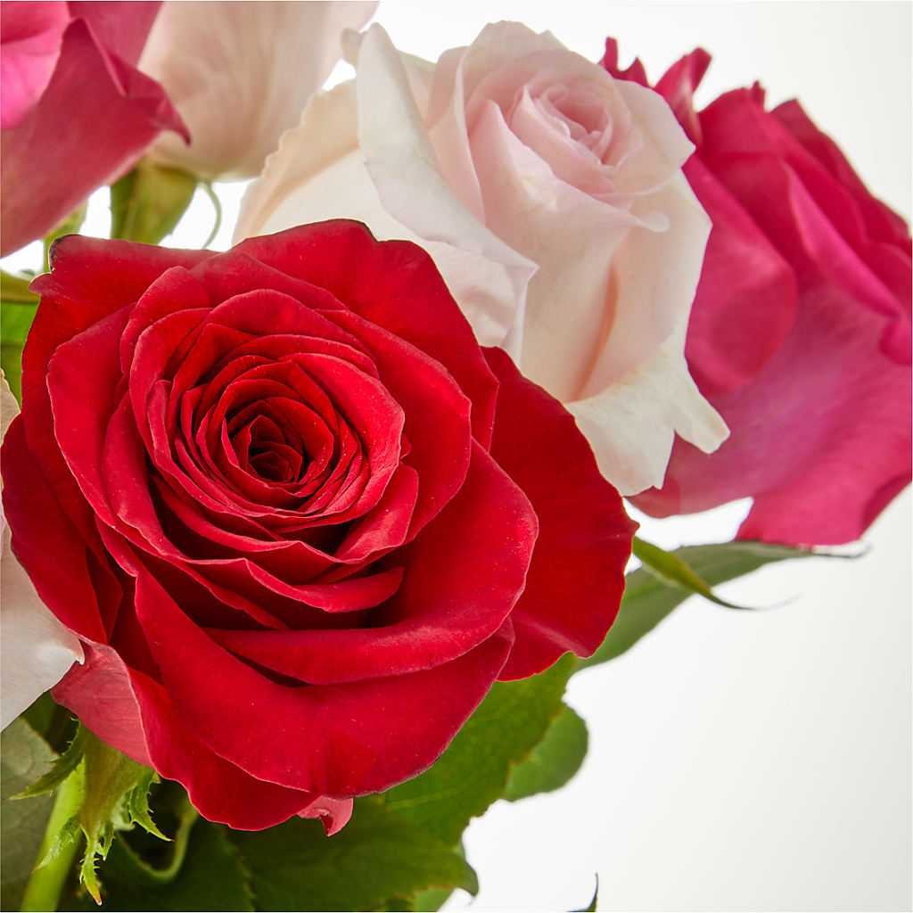 Charming Rose Bouquet –  Caines Flowers, Barberton OH