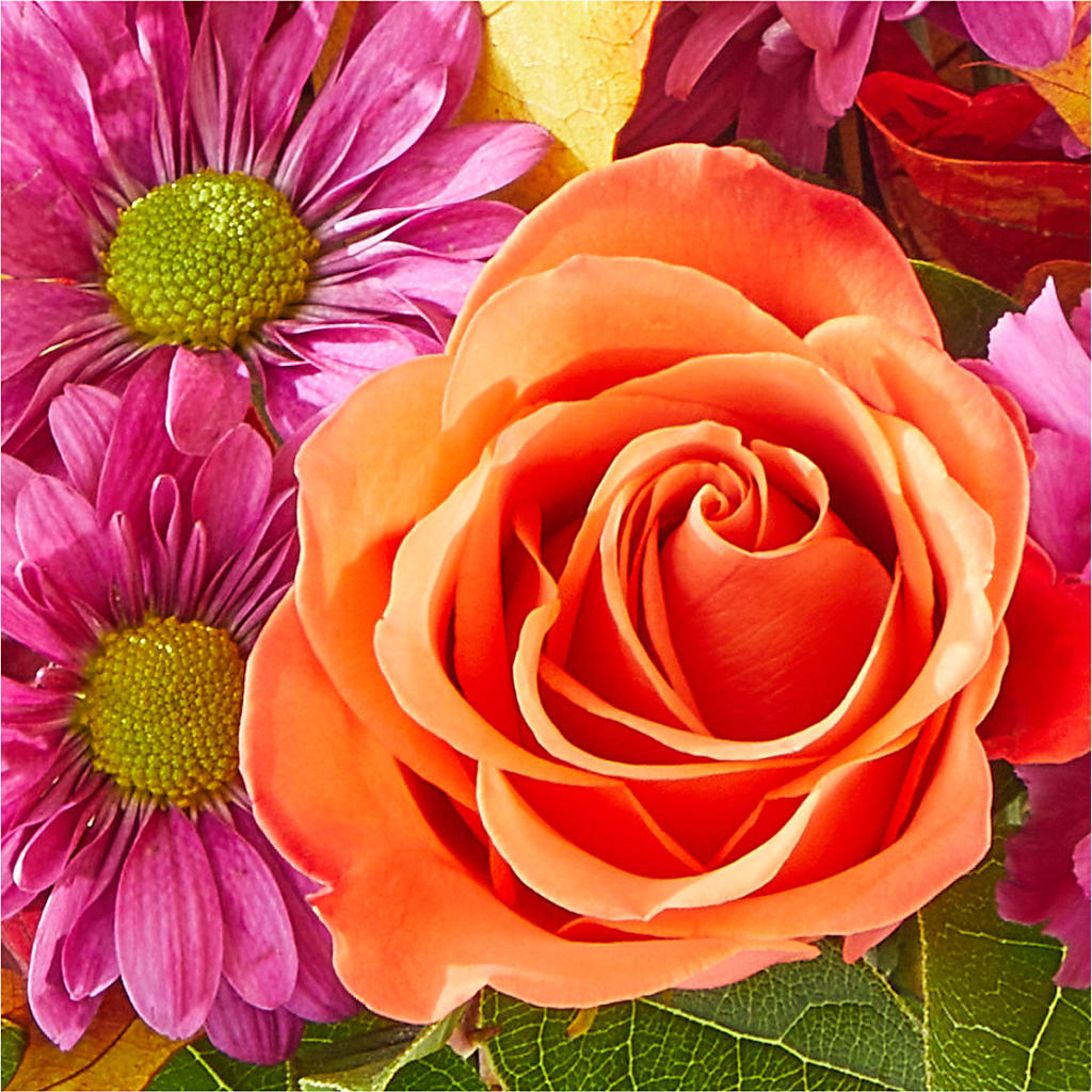 Mum's the Word Bouquet –  Caines Flowers, Barberton OH