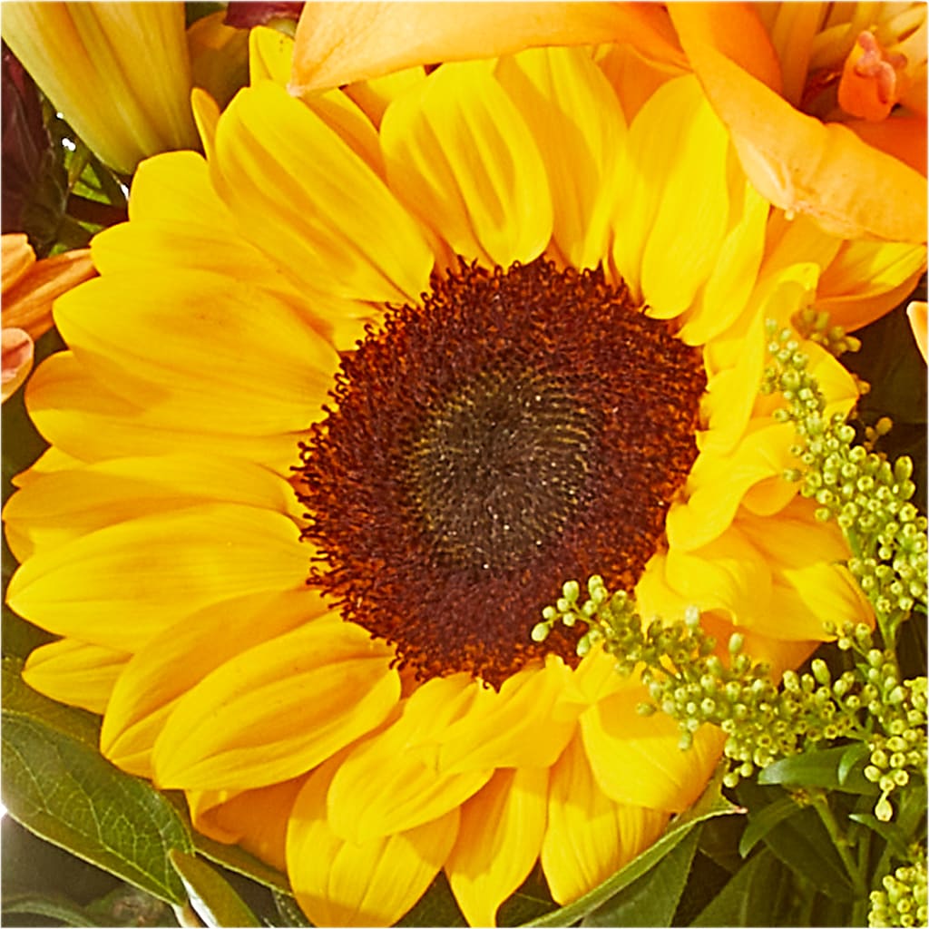 Seasons Change Bouquet –  Caines Flowers, Barberton OH