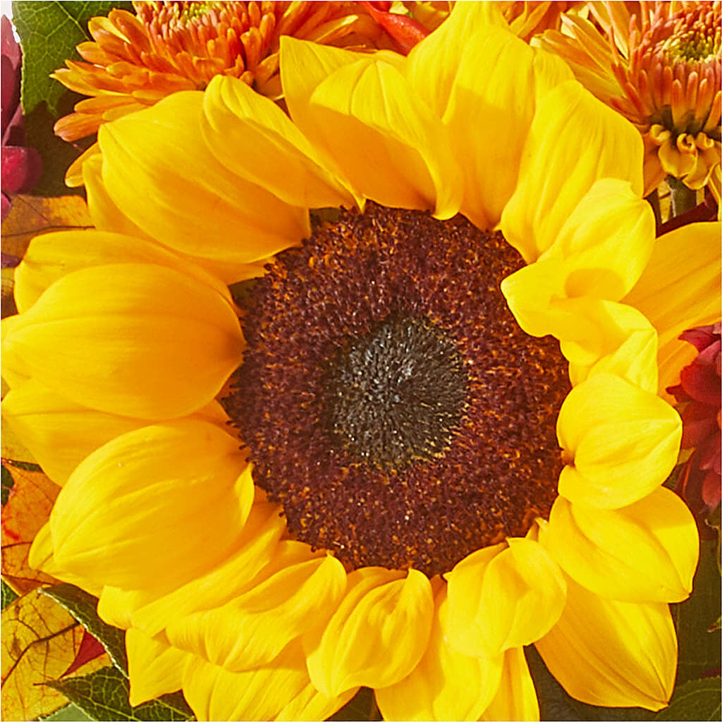 Sunny Side Bouquet –  Caines Flowers, Barberton OH