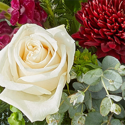 Cranberry Fizz Bouquet –  Caines Flowers, Barberton OH