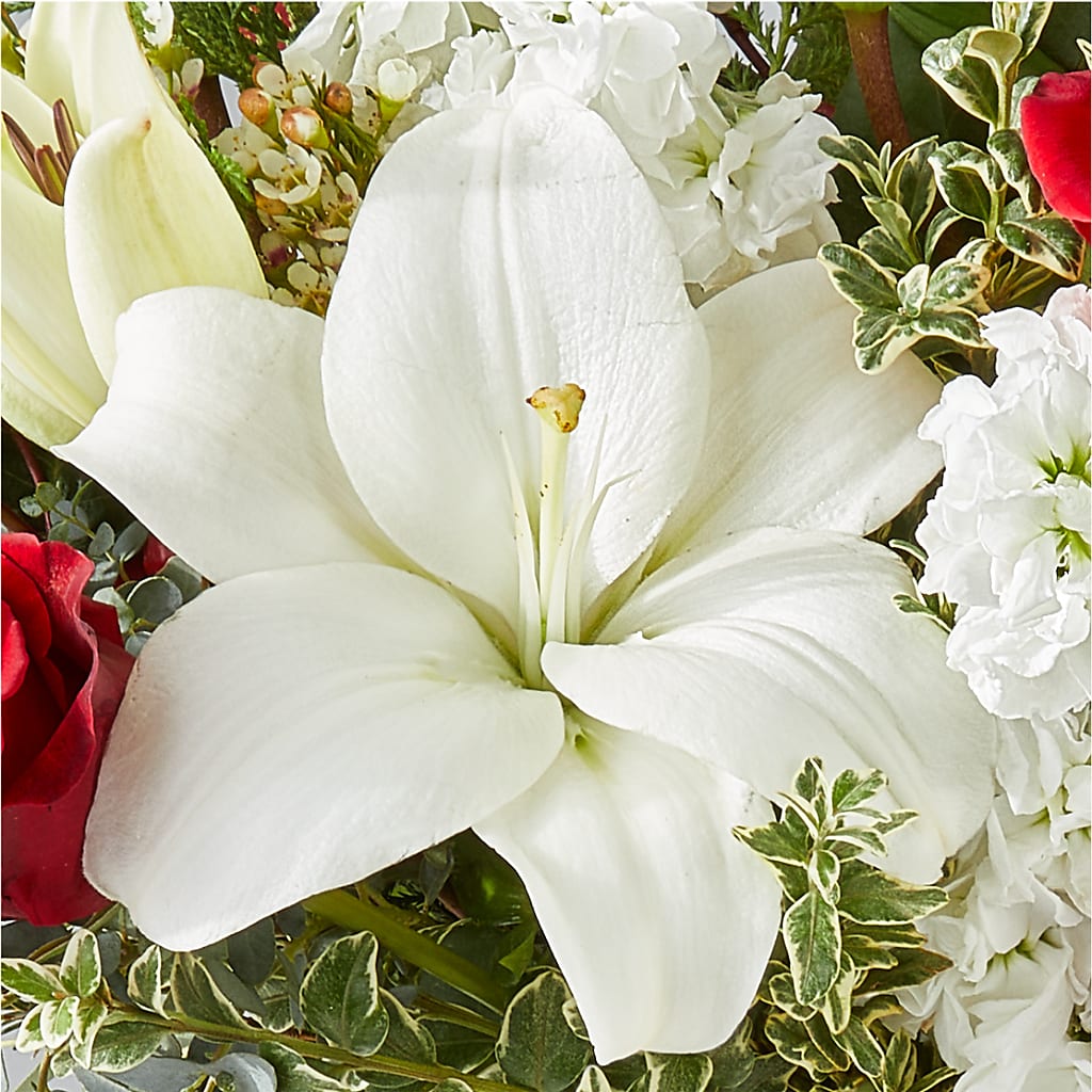 Twinkle Lights Bouquet –  Caines Flowers, Barberton OH