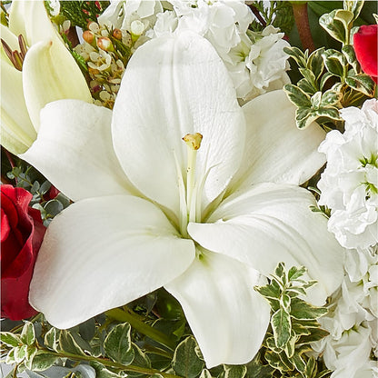 Twinkle Lights Bouquet –  Caines Flowers, Barberton OH