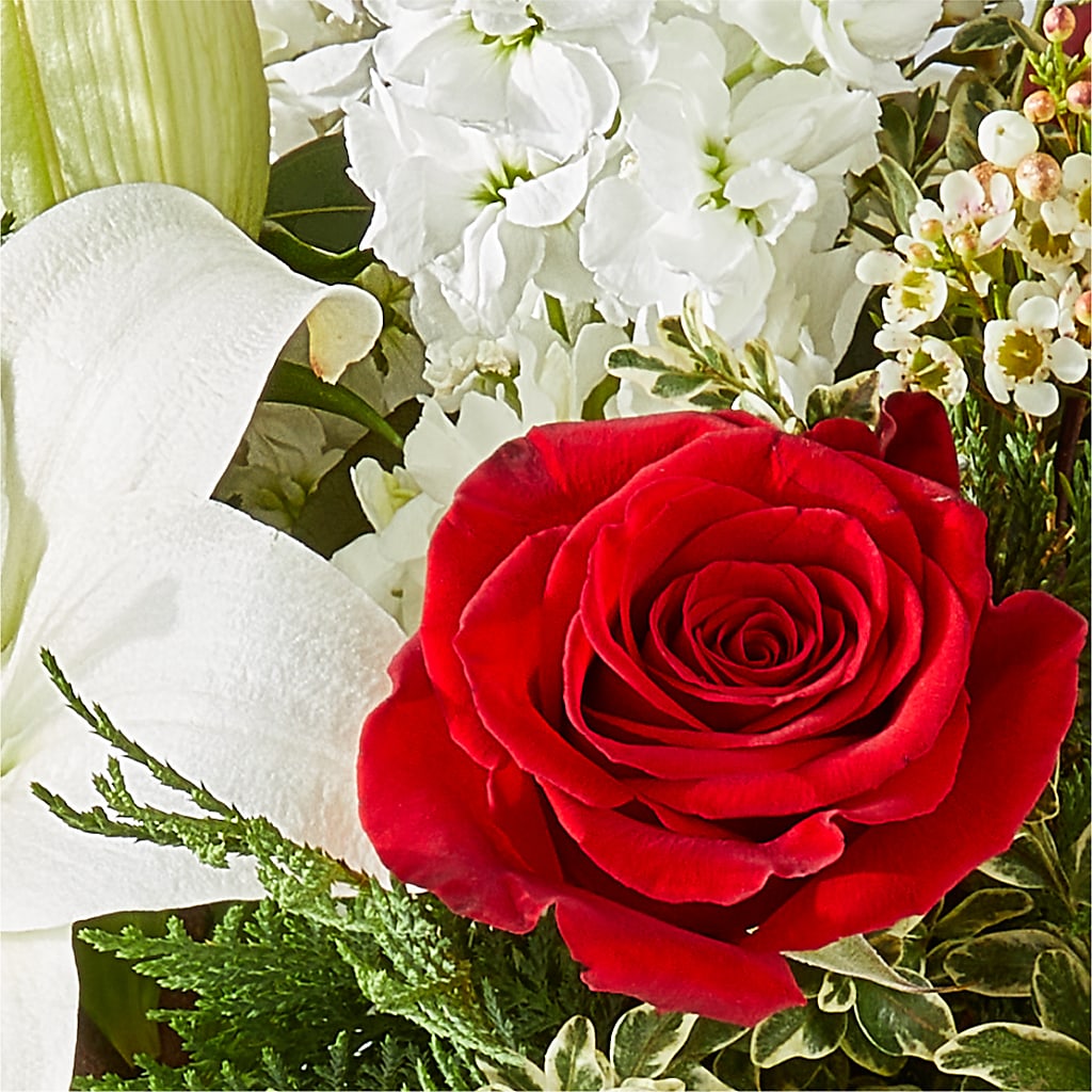 Twinkle Lights Bouquet –  Caines Flowers, Barberton OH