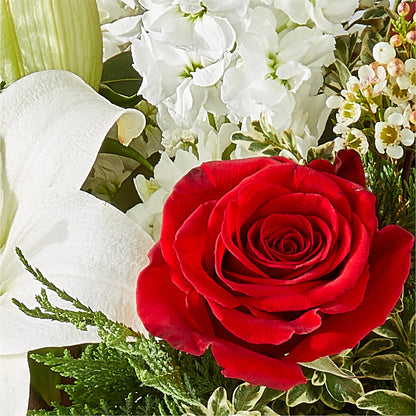 Twinkle Lights Bouquet –  Caines Flowers, Barberton OH