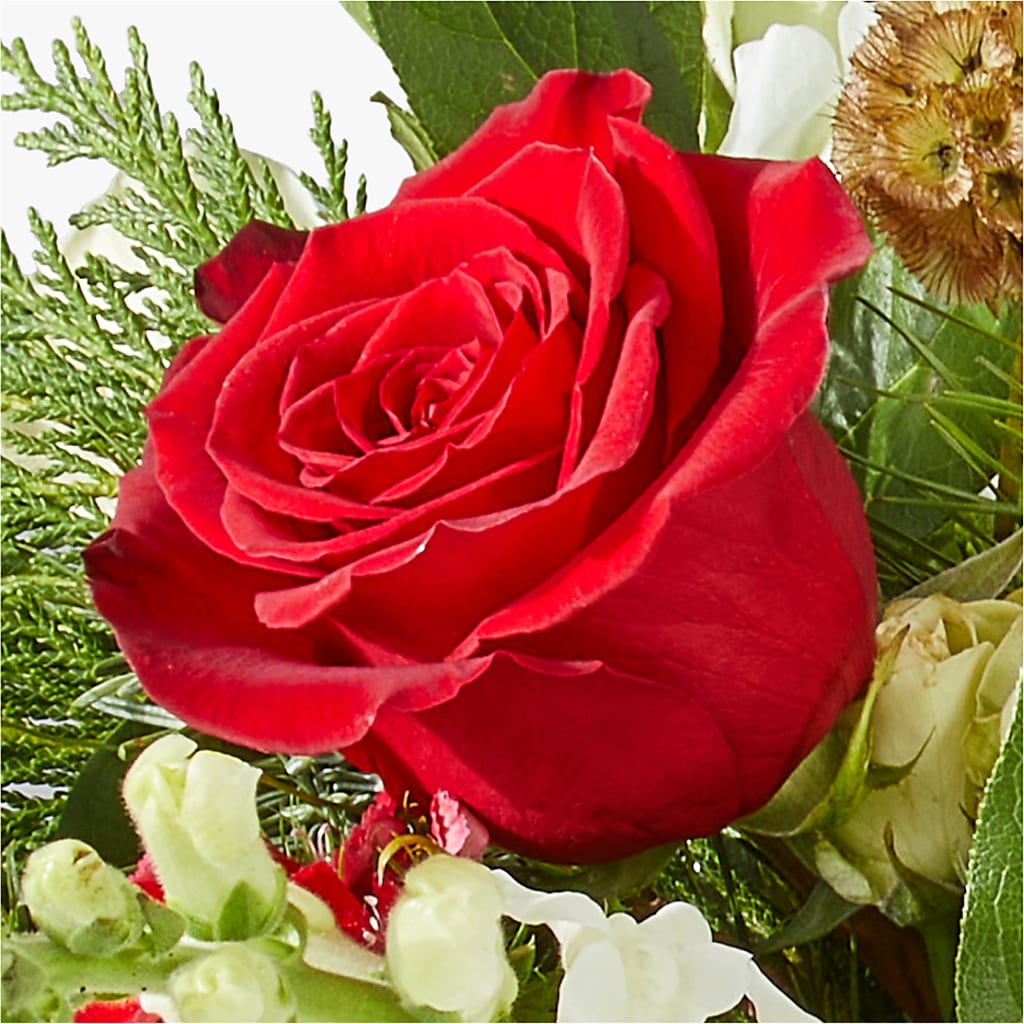 Deck the Halls Bouquet –  Caines Flowers, Barberton OH