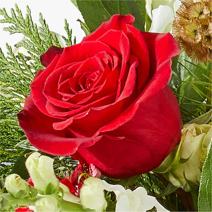 Deck the Halls Bouquet –  Caines Flowers, Barberton OH