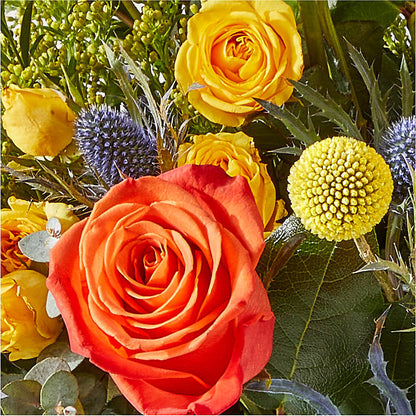 Disco Bouquet –  Caines Flowers, Barberton OH