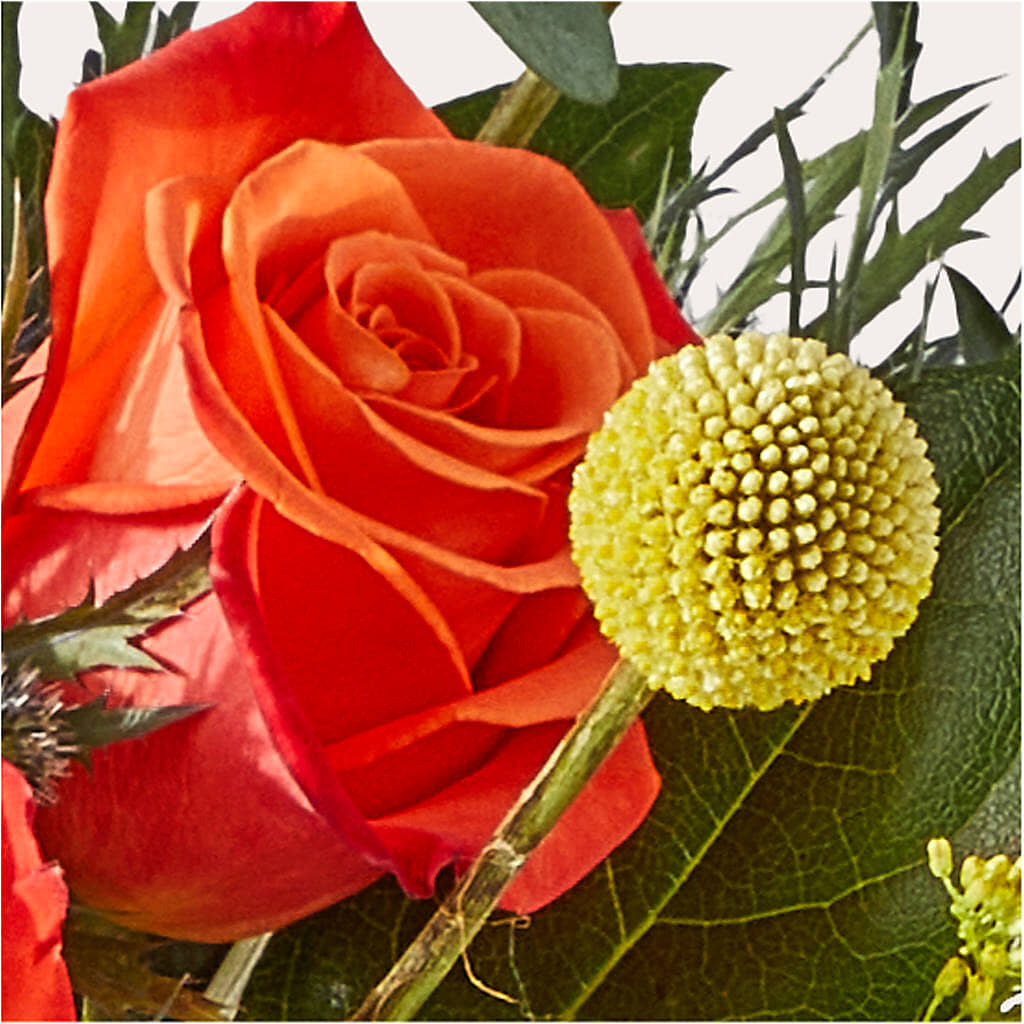 Disco Bouquet –  Caines Flowers, Barberton OH