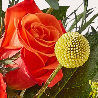 Disco Bouquet –  Caines Flowers, Barberton OH