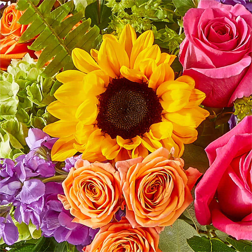 Vibrant Greetings Bouquet –  Caines Flowers, Barberton OH