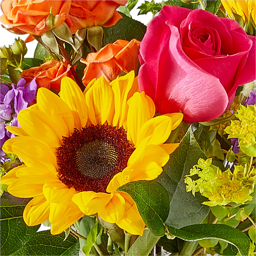 Vibrant Greetings Bouquet –  Caines Flowers, Barberton OH