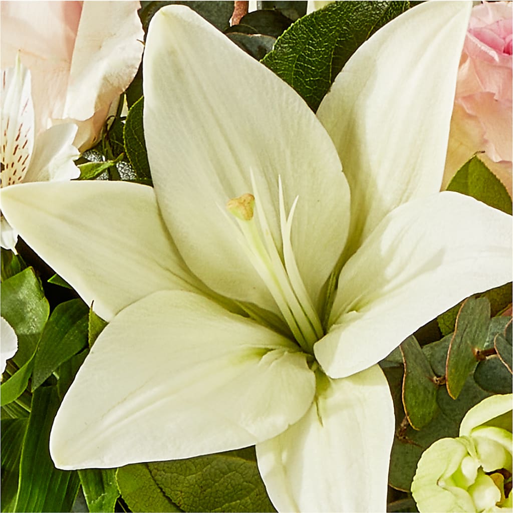 Ballet Slippers Bouquet –  Caines Flowers, Barberton OH