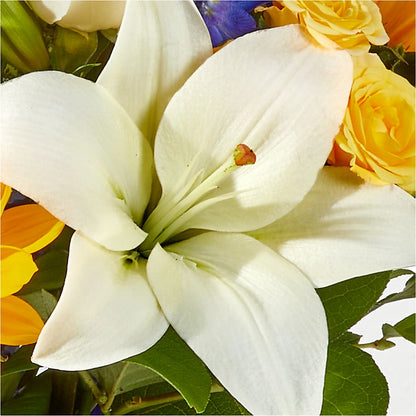 Wonderfully Sunny Bouquet –  Caines Flowers, Barberton OH