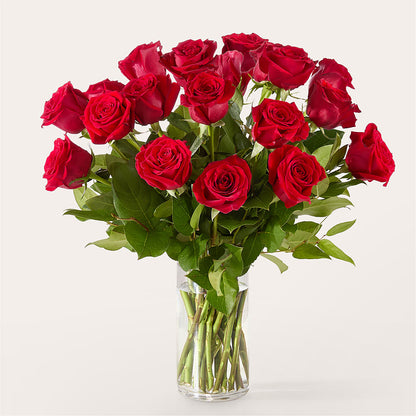 The One Red Rose Bouquet –  Caines Flowers, Barberton OH