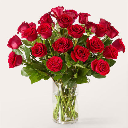The One Red Rose Bouquet –  Caines Flowers, Barberton OH