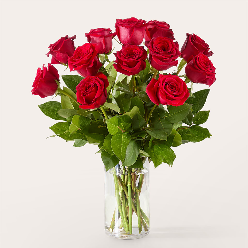 The One Red Rose Bouquet –  Caines Flowers, Barberton OH