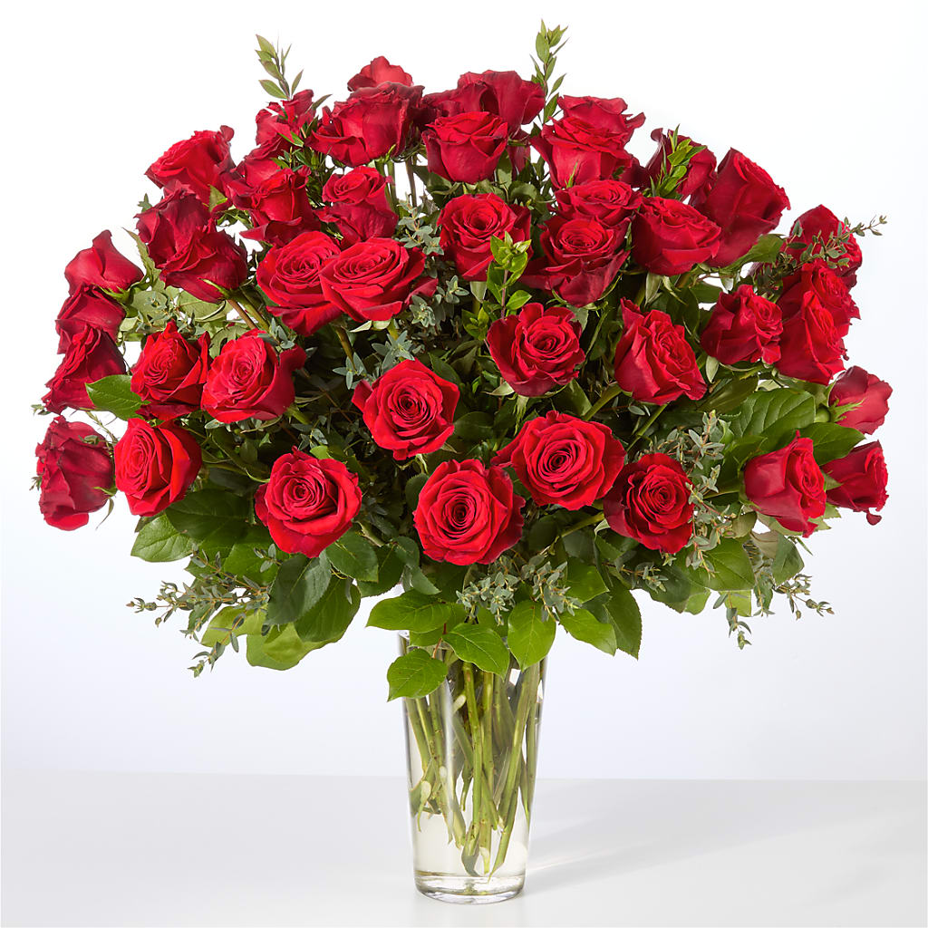 Forever Yours Fifty Stem Red Rose Bouquet –  Caines Flowers, Barberton OH
