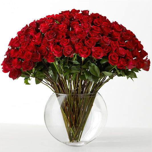 The Idealist –  Caines Flowers, Barberton OH