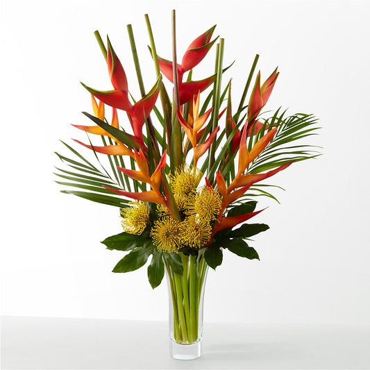 The Drama –  Caines Flowers, Barberton OH