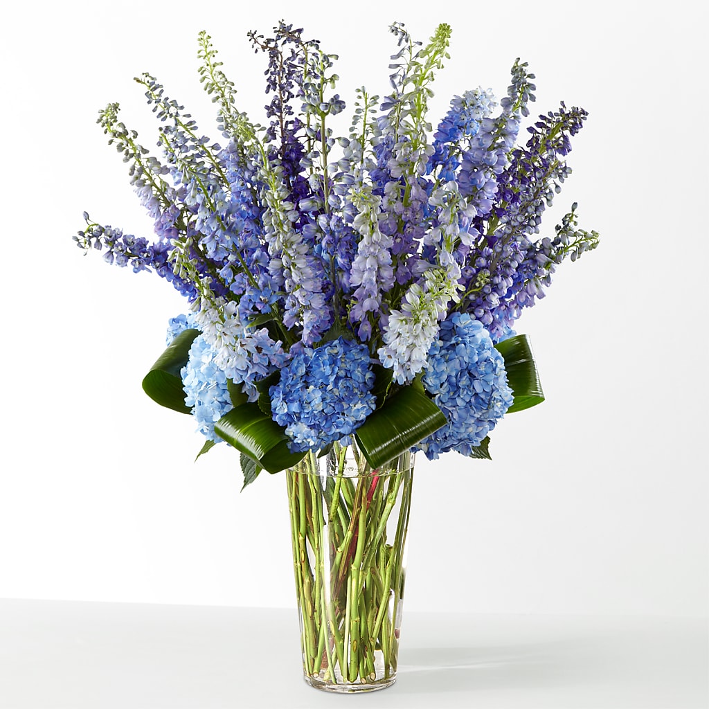 The Editorial –  Caines Flowers, Barberton OH