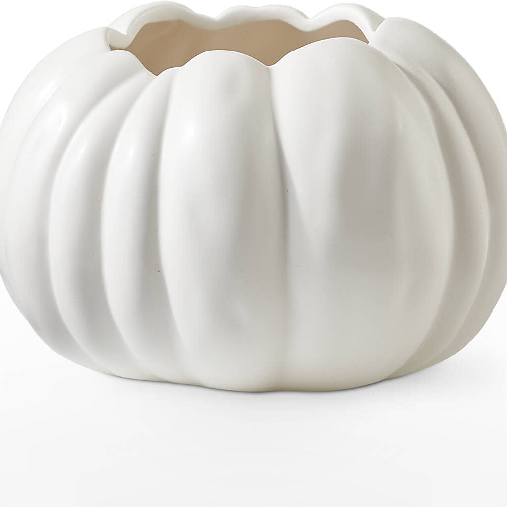 Pumpkin to Talk About Bouquet –  Caines Flowers, Barberton OH